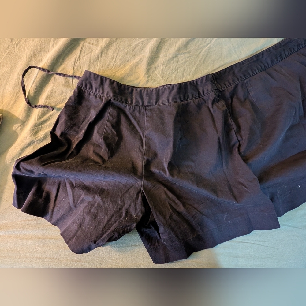Talbots Petites Stretch Pant Skirt